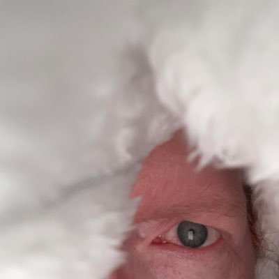 aceferatu's profile picture. Pop culture, documentaries, nostalgia, horror & a weakness for eye candy. Scream fanatic. Welcome to my weird little world. #YR #BoldandBeautiful