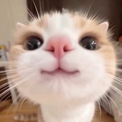 a_no_k0's profile picture. ✩.*˚𖤐⋆꙳✮