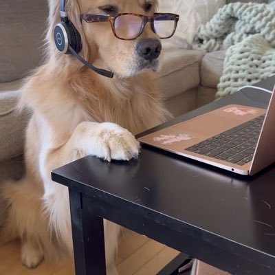 sizka02's profile picture. 