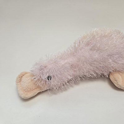 1800LOVEHOTLINE's profile picture. ⌠message incoming!⌡ For: you From: me ✎... our love is eternal ! they/bloom/cherry 🇯🇲🇺🇲 DAYS SINCE LAST CRASH OUT: three🩷 8TEEN