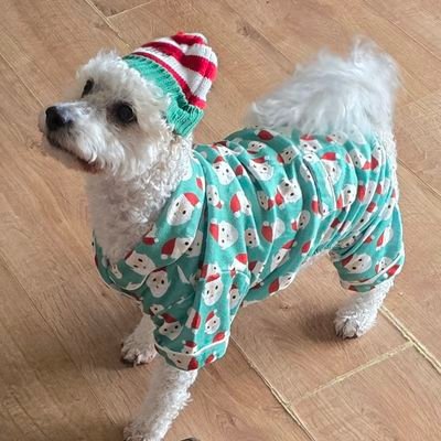 tanyareid107's profile picture. Ice hockey mad lassie. Glasgow Clan (1st😉) 💜Solway Sharks, Invicta Dynamos, Boston Bruins, Danbury Hat Tricks. GAA Football Mayo/Donegal.
#autismawareness