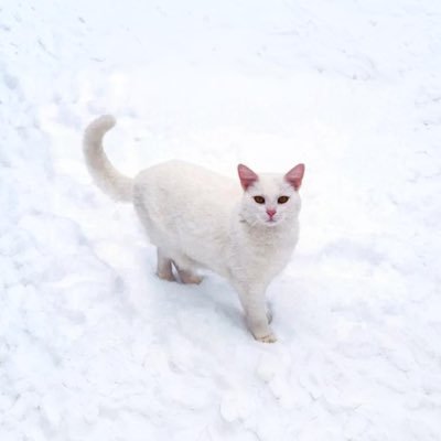 alight1x's profile picture. 