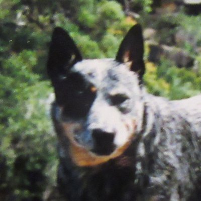 e3_Ronnie's profile picture. I have always found that from the bitterness, comes the sweetness.