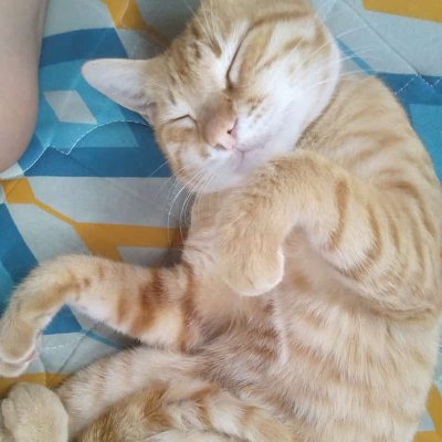 0x_ana72's profile picture. music lover 🎵🎶🎵 
crypto lover #BTC #ETH 
pet lover 🐈 🐕
nature lover 🪴🌹🌵🌺🪴giveaway joiner 💵🍀🧧💸💰