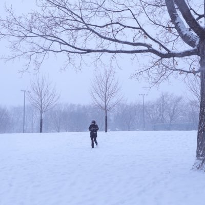 lakerosseaulake's profile picture. 