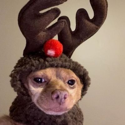 hannetaneta's profile picture. 