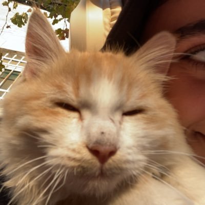 yarraadnann's profile picture. Pharm || HU