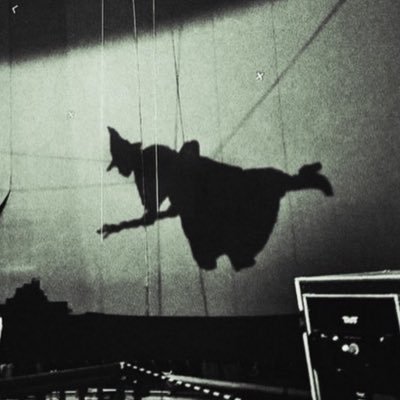 nobodyskryton's profile picture. 24🏳️‍🌈 || MLIS student || multi-fandom || StoryGraph @Selfcausedstress || Disabled || Certified Rambler