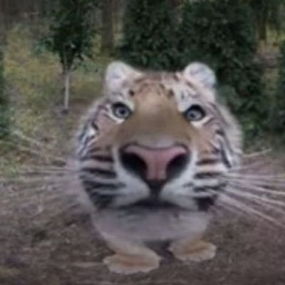 Yooowaii13's profile picture. 