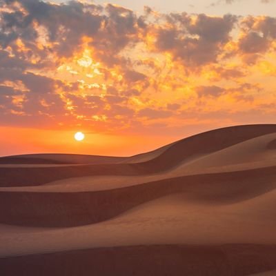 Rdex521's profile picture. 