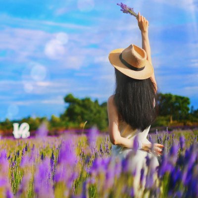 U____S_O's profile picture. Obsessed with good design and great creativity. 🏊‍♀️🚫Robots
🧳Swimming🏊‍♀️Hiking🏃‍♀️Painting✏️