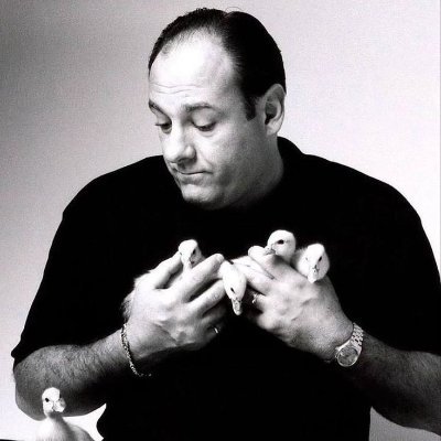 talbz5's profile picture. 