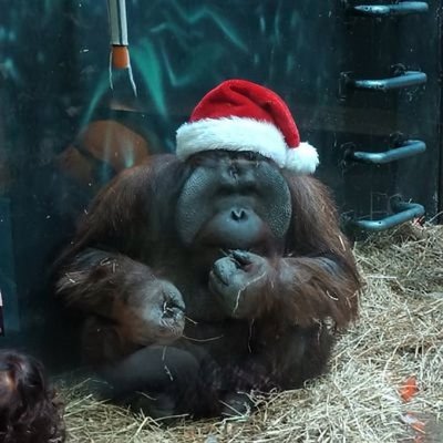 MattOsterndorf's profile picture. Lutheran Christian. Dad. IT guy. @yana_bibiyana is my wife