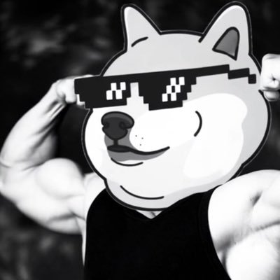 islandtealemon's profile picture. 🇺🇸x🇯🇵| $DANKDOGE Holder