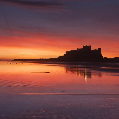 palmerbaseball6's profile picture. 