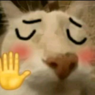 kimskjn_'s profile picture. 