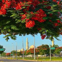 سلطان (@soonos10) 's Twitter Profile