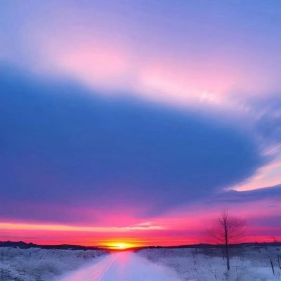 LiLi86750679687's profile picture. 