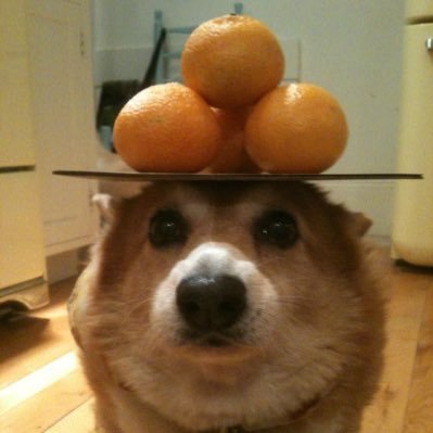 ikeikeonhere's profile picture. hii :3 18 ; he/they ; gay 🏳️‍🌈🔆 DMs open !!!