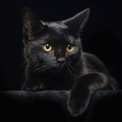 JoeyPiccoTapley's profile picture. Unvax retired mother of two daughters. I’m awake, not woke. “Stop the shots!”