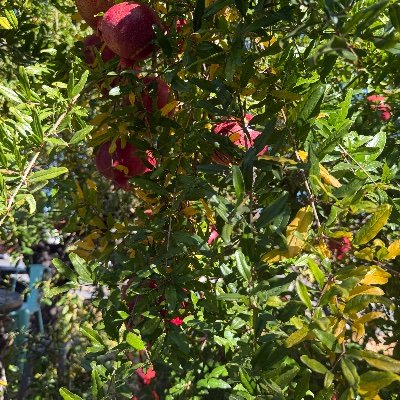 PlatoCosmos's profile picture. Telling myself everyday : “the trouble is you think you have time” ex faang, ex unicorn