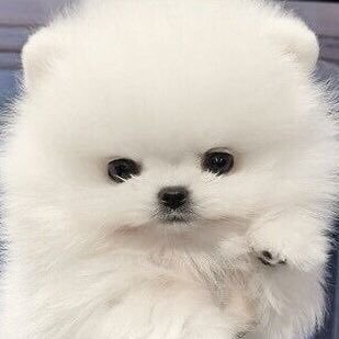 nwqfu's profile picture. 