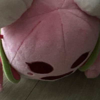 zuesybn's profile picture. admeval SGU Junne#010