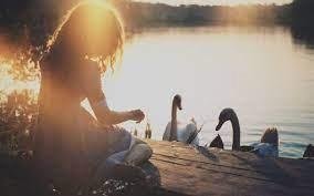 7g718oX8Jk4Uu3's profile picture. Make more new friends!