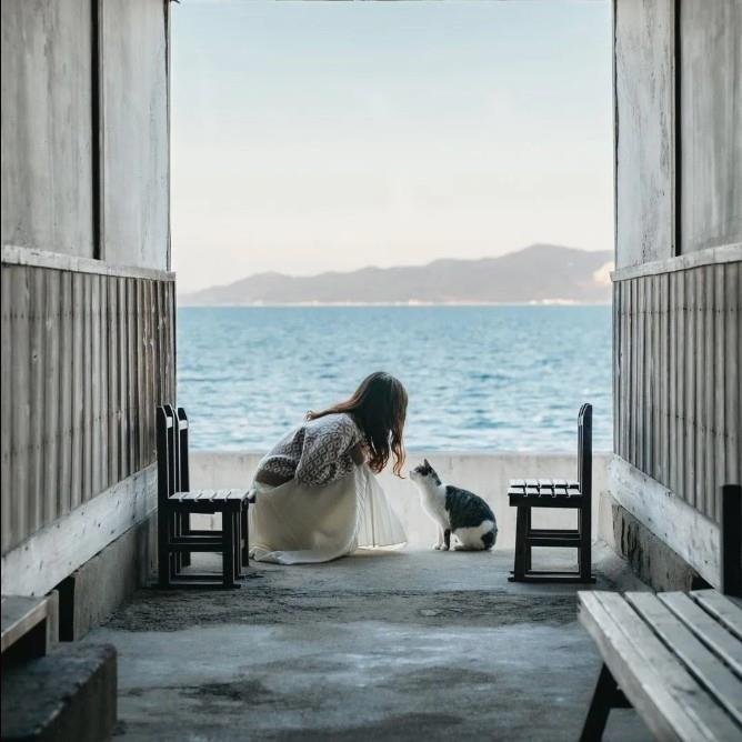 KnYFPS7o0xT29's profile picture. Make more new friends!