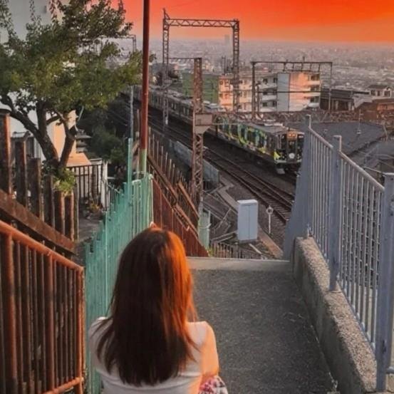 56yRjpFa8k9670T's profile picture. احصل على المزيد من الأصدقاء الجدد!