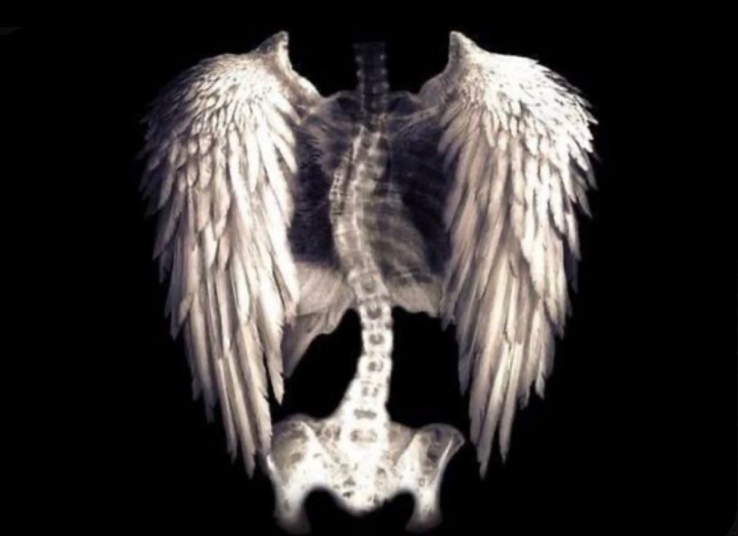 JacobNowictioq's profile picture. 