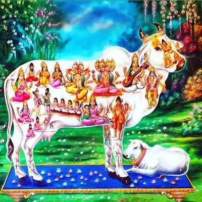 KumarAkash37847's profile picture. ହିନ୍ଦୁ ଧର୍ମ ରେ ଜମଗହଣ କରୀ ଥୀବାରି ମି ମେ ନିଜକୁ  ଧନିଇଅ  ମନେକରିଛୀ ହିନ୍ଦୁ ତ ଆମର ପରିଚୟ  ତେଣୁ ହିନ୍ଦୁ ବନୀବା ସୀଖ ହିନ୍ଦୁ ଠି କେହି ବଡଜାତିନାହୀ କୁ ହିନ୍ଦୁ ଠି କେହି  ବଡ ଛାତୀନାହି
