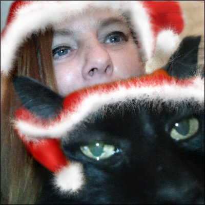 Kigo123's profile picture. Strong lefty, VOTE BLUE🌊💙 writer, foodie,  gardener, dearly love animals.   Enjoy classic sci-fi & horror, post-apocalyptic genre.  Humor is the cure.