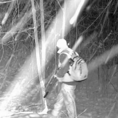 AdamJarchow's profile picture. Dad, Husband, small businessman, attorney. Been banned once already. My pronoun is #Patriot.