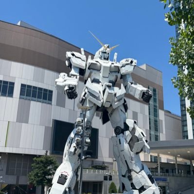 ErvJVVbXGv91501's profile picture. 