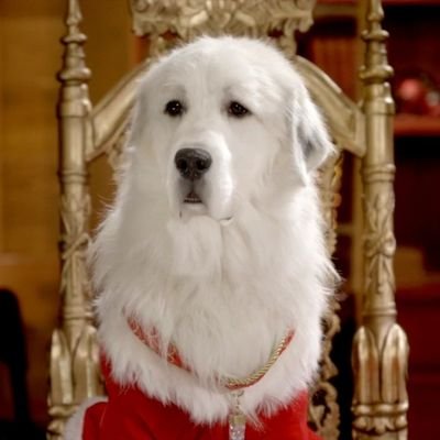 1067Charizard's profile picture. 