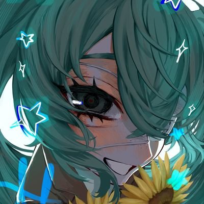 hoshimacis's profile picture. 