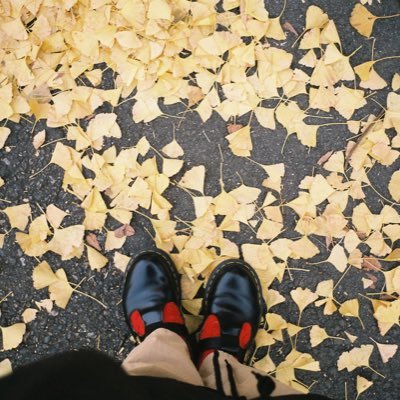 2d7Wt's profile picture. 00’’ (25)|🍎→🗼|YM➕|Gen Hoshino