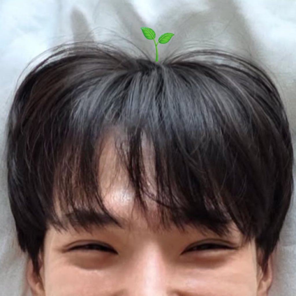 daousocute's profile picture. 따우 덕질 중