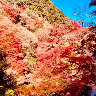 remimoshi's profile picture. valo / mmo / steam / etc... おっさん社畜enjoyゲーマー 仲良くしてくれると嬉しいです。