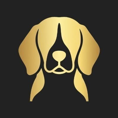 xxxsatire's profile picture. 