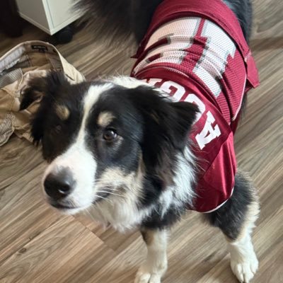 WurK3zY's profile picture. ♠️♥️♣️♦️ 28 / retired