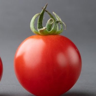 uTIzvSAKSFXTPof's profile picture. 