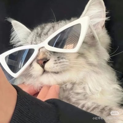 Fujiisex's profile picture. 随便发发 欢迎带照私信