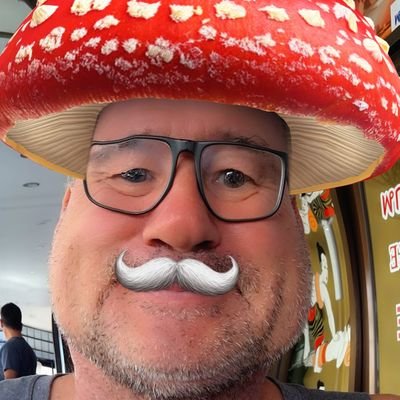 massage_ni70025's profile picture. Historically, right-wing extremism always wins when it is treated like a normal political position 💙💙💙
🚫DM,Porn,AfD,MAGA,Putin,💩......