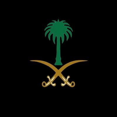 TurkiiSR's profile picture. 