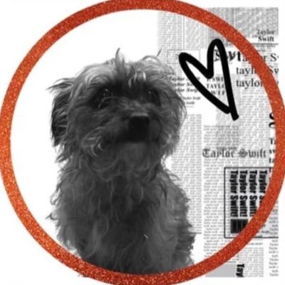 vinylswiftie89's profile picture. Christian, Swiftie, Disney Fanatic, Chiefs Fan. TN x1 (11/11/24) ❤️‍🔥🧨