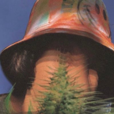 Angeel_Artesano's profile picture. SUUUM FUNNY SHIT👽MEMES | grower🌱 | Weedpics and just some random selfies. 👾marihuano pero buen muchacho 😉