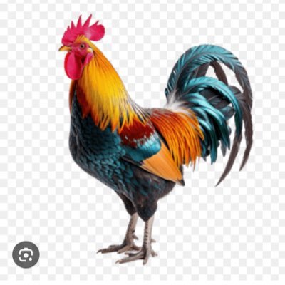 Epjree9u's profile picture. AITD#1