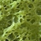 AstroFN26's profile picture. 🇮🇳 ig: Astro2600